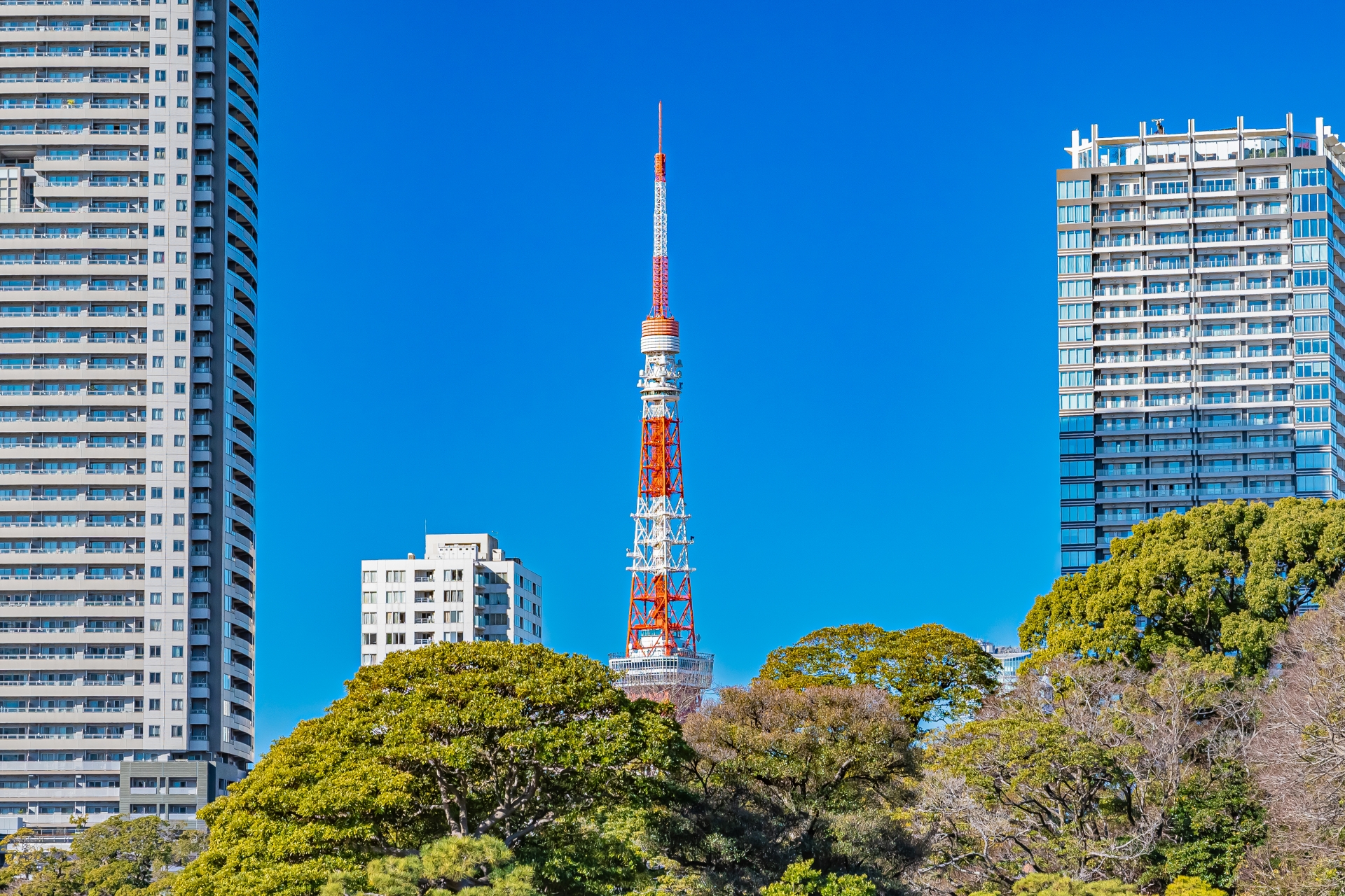 東京